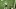 New England Patriots New England Patriots