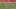 Ford (55) is on the left side of the defense. Ford (55) is on the left side of the defense.