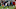 Los Angeles Rams Los Angeles Rams