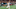 ATLANTA, GA AUGUST 19: Atlanta’s Julian Gressel (24) lines up a shot during the match between Atlanta United and Columbus Crew on August 19th, 2018 at Mercedes-Benz Stadium in Atlanta, GA. Atlanta United FC defeated Columbus Crew SC by a score of 3 – 1. (Photo by Rich von Biberstein/Icon Sportswire via Getty Images) ATLANTA, GA AUGUST 19: Atlanta’s Julian Gressel (24) lines up a shot during the match between Atlanta United and Columbus Crew on August 19th, 2018 at Mercedes-Benz Stadium in Atlanta, GA. Atlanta United FC defeated Columbus Crew SC by a score of 3 – 1. (Photo by Rich von Biberstein/Icon Sportswire via Getty Images)
