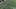 ertz td gif ertz td gif