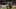 3 differences to between Arsenal Newcastle this year and last 3 differences to between Arsenal Newcastle this year and last