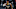 New Orleans Pelicans New Orleans Pelicans