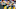 Green Bay Packers Green Bay Packers