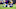 Chicago Bears - Chicago Bears -