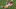 Kerry Hyder, Kyler Murray, SF 49ers, Arizona Cardinals Kerry Hyder, Kyler Murray, SF 49ers, Arizona Cardinals