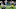 NFL Rumors Steelers Vikings Jalen Carter NFL Rumors Steelers Vikings Jalen Carter
