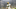 Green Bay Packers Green Bay Packers