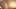 Book Enchanter teaser image Book Enchanter teaser image