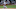 San Francisco Giants San Francisco Giants