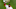 BOSTON – APRIL 9: Former Boston Red Sox player David Ortiz holds up the World Series trophy during pre-game ceremonies. The Boston Red Sox host the Toronto Blue Jays in their home opener for the 2019 MLB season at Fenway Park in Boston on April 9, 2019. (Photo by John Tlumacki/The Boston Globe via Getty Images)