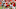 Kansas City Chiefs running back Spencer Ware Kansas City Chiefs running back Spencer Ware