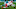 KC Chiefs Kansas City Chiefs