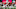 ATLANTA, GA – JANUARY 08: Nick Chubb ATLANTA, GA – JANUARY 08: Nick Chubb
