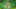 rayman-jungle-run rayman-jungle-run