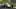 Josef Newgarden, Indy 500, IndyCar Josef Newgarden, Indy 500, IndyCar