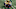 Michigan football, Jim Harbaugh Michigan football, Jim Harbaugh