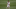 Real Madrid, Eden Hazard Real Madrid, Eden Hazard