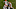 Cleveland Browns