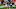 DraftKings NFL picks Week 12