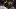 Indiana Pacers Indiana Pacers