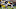 LSU Football LSU Football
