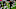 Chicago Bears, NFL Draft Chicago Bears, NFL Draft