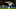 WATFORD, ENGLAND – JANUARY 01: Kevin Wimmer of Tottenham Hotspur clears the ball during the Premier League match between Watford and Tottenham Hotspur at Vicarage Road on January 1, 2017 in Watford, England. (Photo by Alex Morton/Getty Images) WATFORD, ENGLAND – JANUARY 01: Kevin Wimmer of Tottenham Hotspur clears the ball during the Premier League match between Watford and Tottenham Hotspur at Vicarage Road on January 1, 2017 in Watford, England. (Photo by Alex Morton/Getty Images)