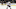 Fantasy Hockey Fantasy Hockey