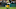 Green Bay Packers Green Bay Packers