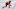 New Jersey Devils