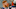 Chicago Bears, Andy Dalton