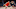 Toronto Raptors, Scottie Barnes Toronto Raptors, Scottie Barnes