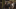Outlander - Sasnak City 2021 Outlander - Sasnak City 2021