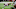 Leonard Fournette, Tampa Bay Buccaneers Leonard Fournette, Tampa Bay Buccaneers