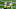 Green Bay Packers Green Bay Packers
