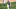 Ramon Laureano Ramon Laureano