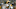 Dec 20, 2015; Oakland, CA, USA; Green Bay Packers cornerback Casey Hayward (29) stands on the field before the start of the game against the Oakland Raiders at O.co Coliseum. Mandatory Credit: Cary Edmondson-USA TODAY Sports