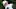 PGA Tour, 2021-22 PGA Tour Season, Golf, Rankings, Rory McIlroy PGA Tour, 2021-22 PGA Tour Season, Golf, Rankings, Rory McIlroy