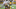 Sep 16, 2023; Iowa City, Iowa, USA; Iowa Hawkeyes tight end Steven Stilianos (86) and Western Michigan Broncos defensive lineman Mason Nelson (54) in action during the game at Kinnick Stadium. Mandatory Credit: Jeffrey Becker-USA TODAY Sports Sep 16, 2023; Iowa City, Iowa, USA; Iowa Hawkeyes tight end Steven Stilianos (86) and Western Michigan Broncos defensive lineman Mason Nelson (54) in action during the game at Kinnick Stadium. Mandatory Credit: Jeffrey Becker-USA TODAY Sports