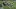 GIF via Zombie Prophet (@ZProphet_MMA) GIF via Zombie Prophet (@ZProphet_MMA)