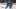 Toronto Maple Leafs Toronto Maple Leafs