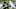 Cleveland Browns mock draft, Verone McKinley Cleveland Browns mock draft, Verone McKinley