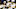 Boston Bruins Boston Bruins