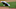 MLB DFS MLB DFS