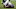 Oct 13, 2013; Houston, TX, USA; Houston Texans quarterback Matt Schaub (8) lies on the ground after an injury sustained during the third quarter against the St. Louis Rams at Reliant Stadium. Mandatory Credit: Troy Taormina-USA TODAY Sports Oct 13, 2013; Houston, TX, USA; Houston Texans quarterback Matt Schaub (8) lies on the ground after an injury sustained during the third quarter against the St. Louis Rams at Reliant Stadium. Mandatory Credit: Troy Taormina-USA TODAY Sports