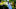 Will Zalatoris PGA Tour