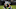 OAKLAND, CA – AUGUST 19: Cooper Kupp (Photo by Thearon W. Henderson/Getty Images) – Los Angeles Rams