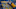 NBA NBA