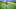 Chicago Bears, NFL Draft Chicago Bears, NFL Draft